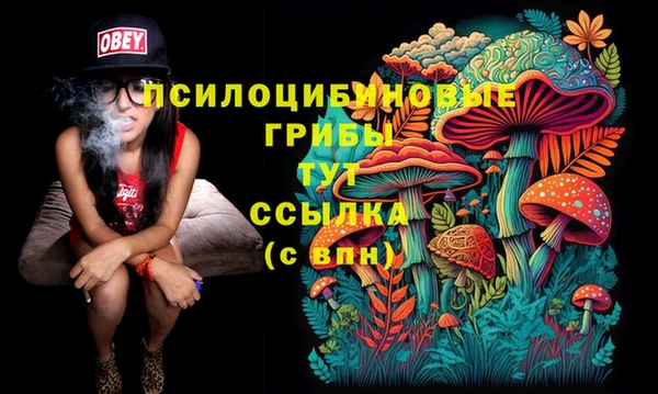 молекула духа Аркадак